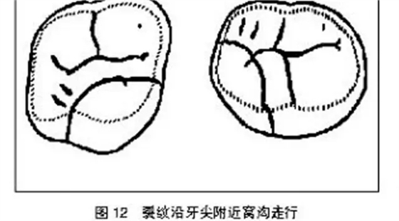 20.webp.jpg 20.webp.jpg