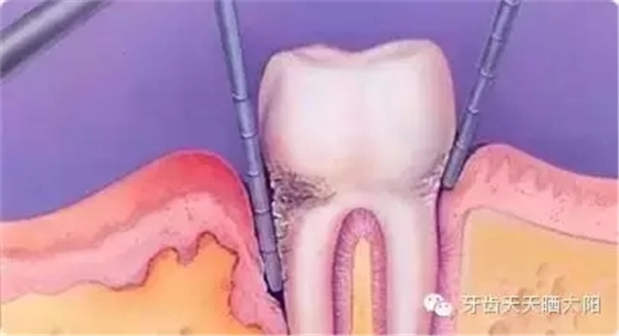 640.webp (3).jpg 640.webp (3).jpg