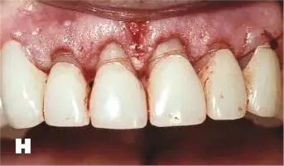 640 (1).webp (1).jpg 640 (1).webp (1).jpg