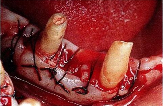 360截圖20170120113944118.jpg 360截圖20170120113944118.jpg