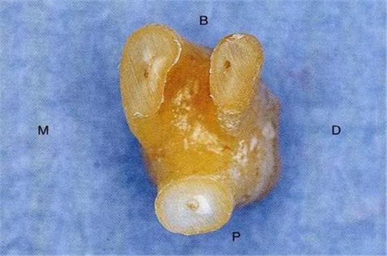 360截圖20170120170121854.jpg 360截圖20170120170121854.jpg