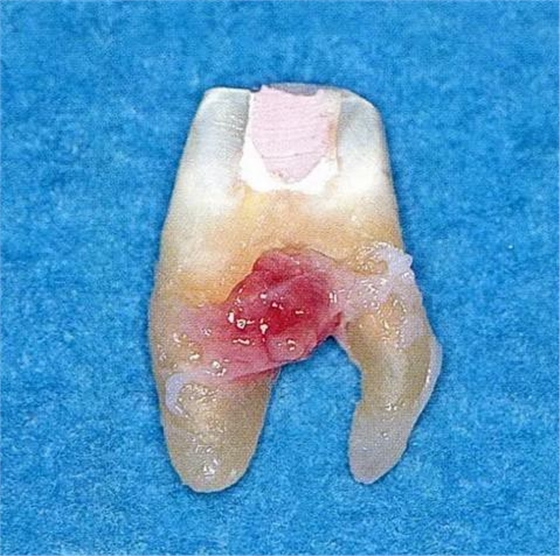 360截圖20170120170158858.jpg 360截圖20170120170158858.jpg