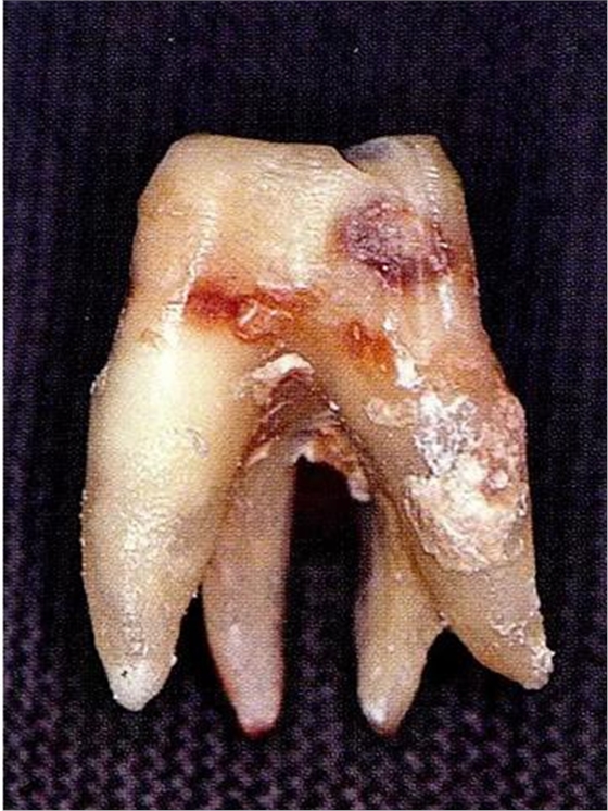 360截圖20170120170210929.jpg 360截圖20170120170210929.jpg