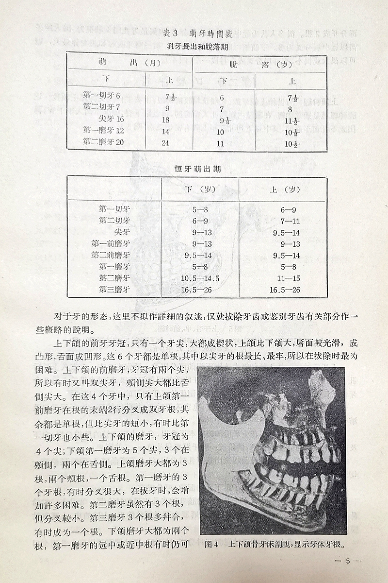實(shí)用拔牙學(xué)——主編一級教授陳華